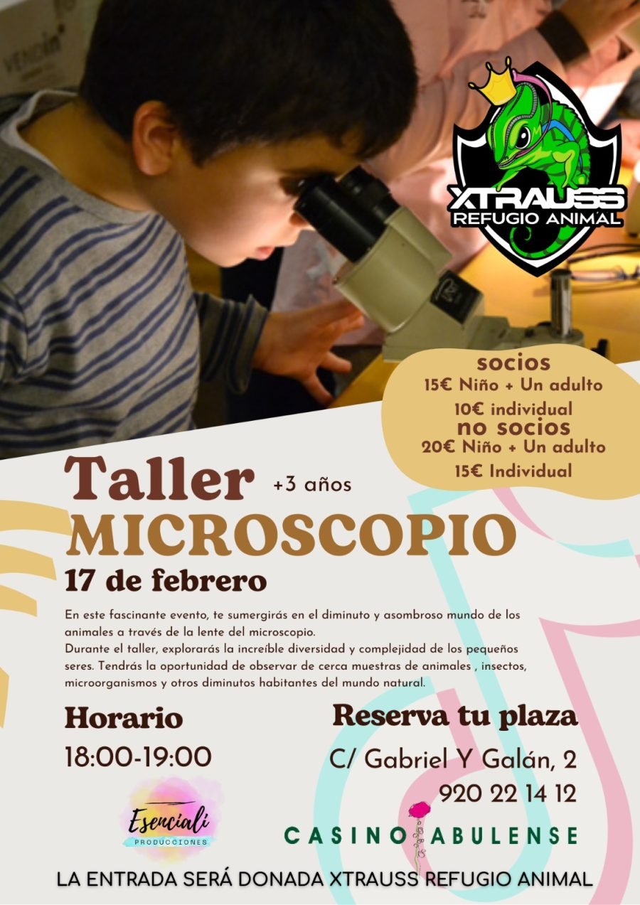 TALLER MICROSCOPIO