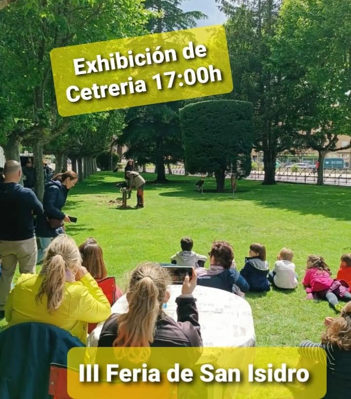 planes para el finde del 18 y 19 de mayo en Ávila