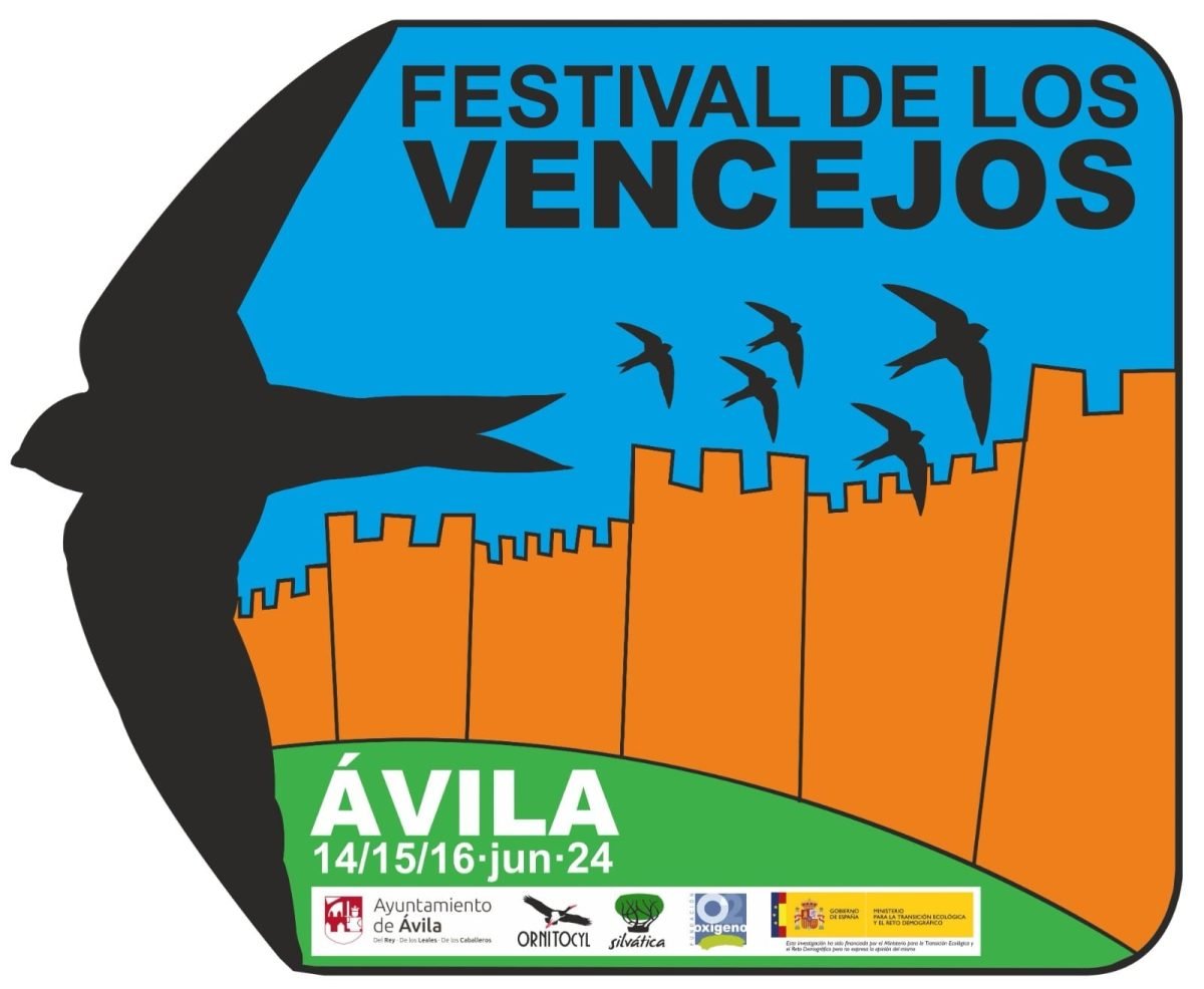 Festival de los Vencejos 2024 en Ávila