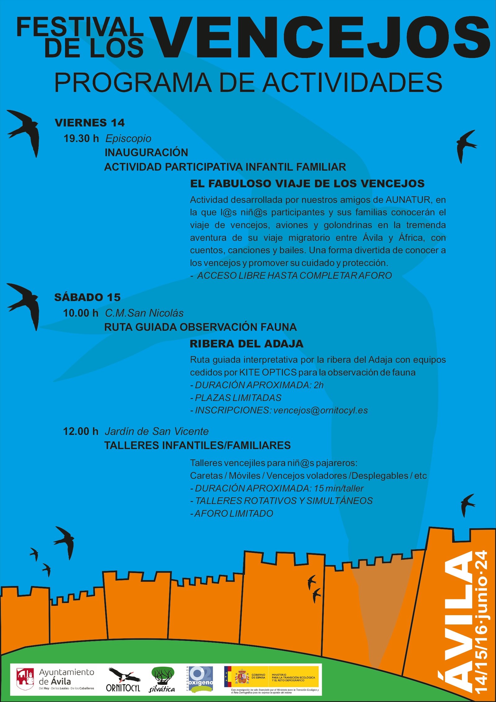 Festival de los Vencejos 2024 en Ávila