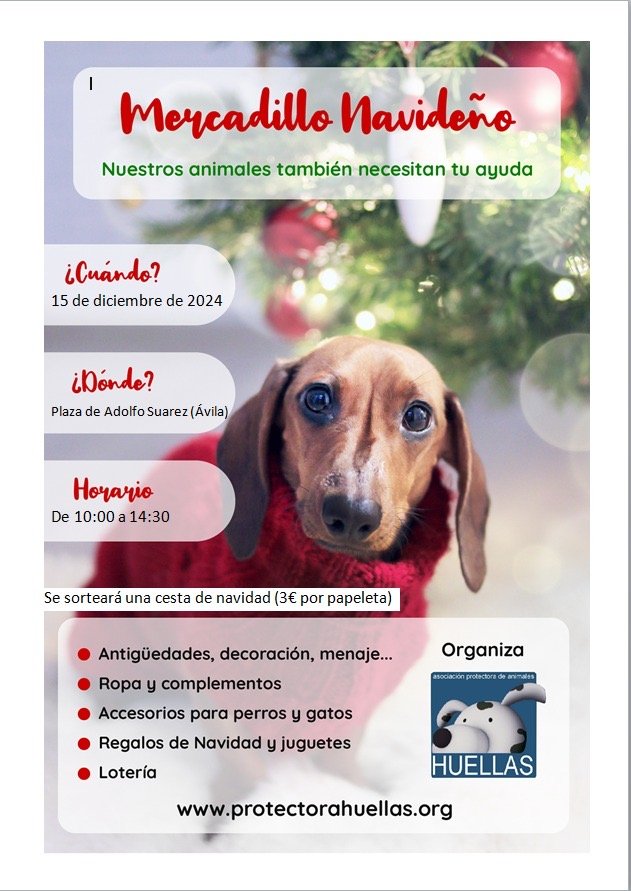 planes para el finde del 14 y 15 de diciembre