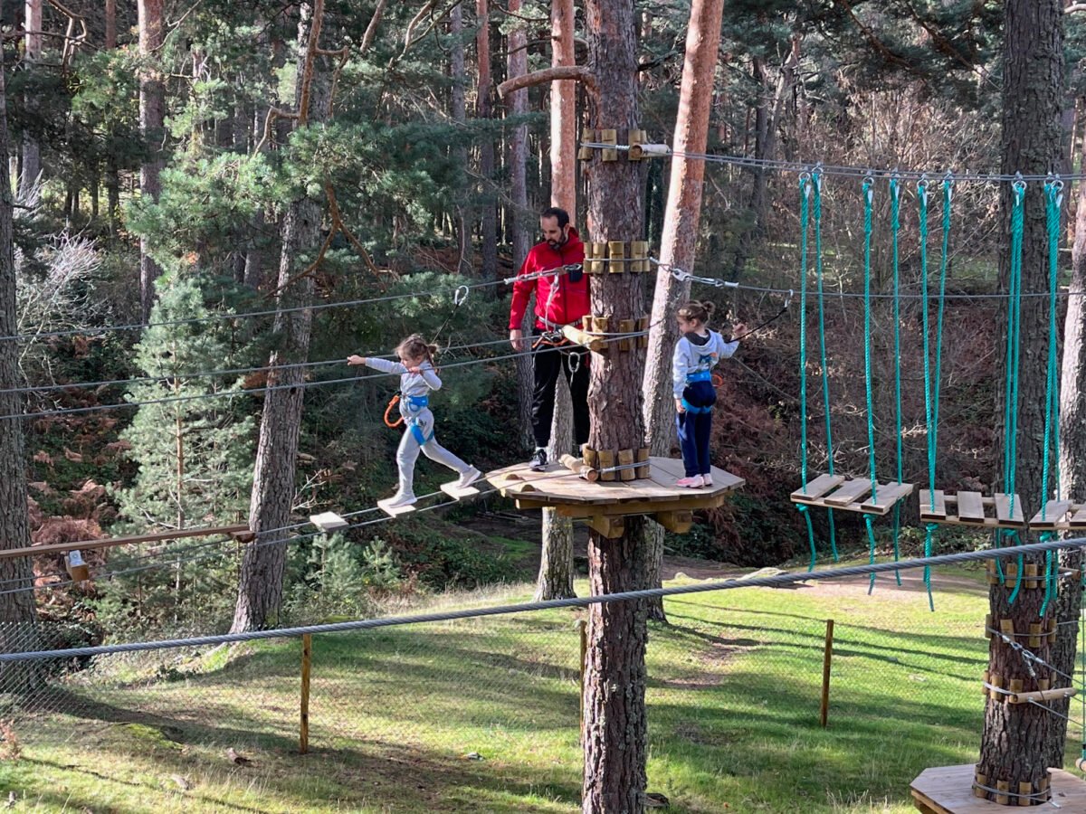 de pino a pino san rafael