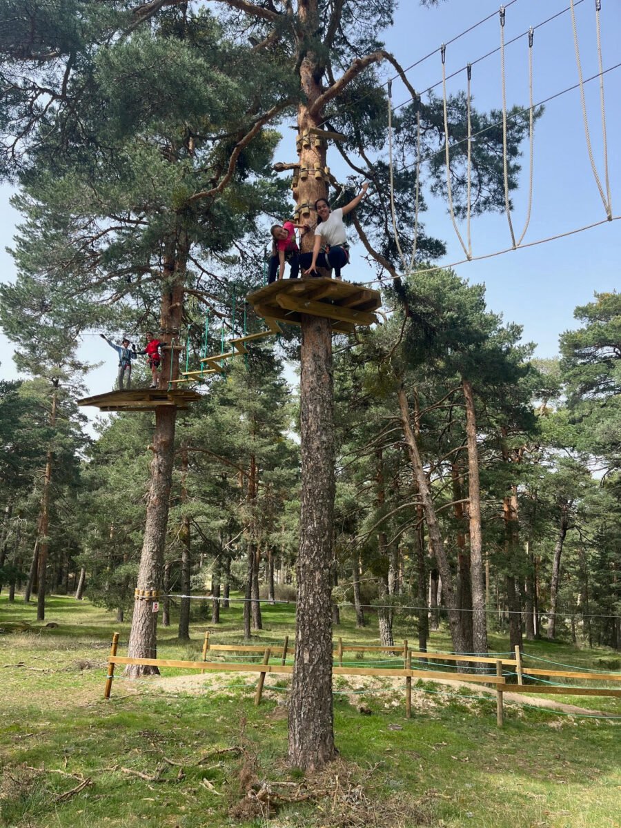 de pino a pino san rafael