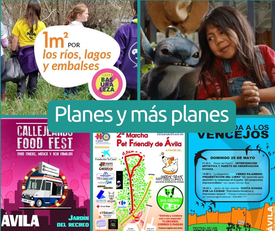 Planes para el finde del 24 y 25 de mayo en Ávila