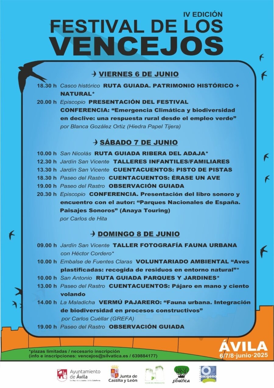 Festival Vencejos 2025