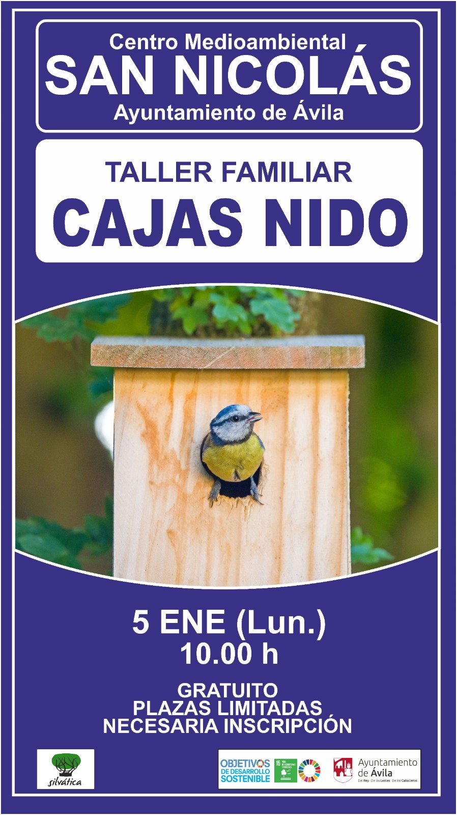 taller familiar de cajas nido